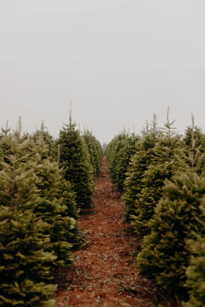 The Risks of Logging