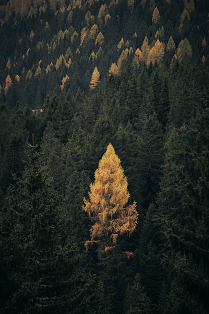 Sustainability and Nature Protection